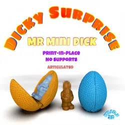 Dicky Surprise Mr Mini Dick