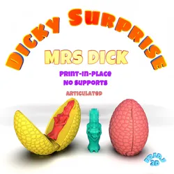 Dicky Surprise Mrs Dick