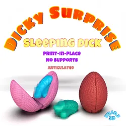 Dicky Surprise Sleeping Dick