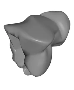 Giant Flexy Skeleton Hand