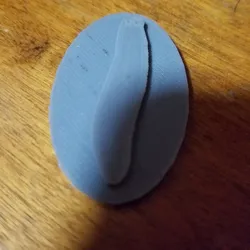 planarian or flatworm coin