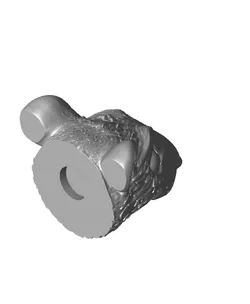 Rat Fridge Magnets - Subscriber Bonus