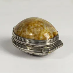 Shell Snuffbox