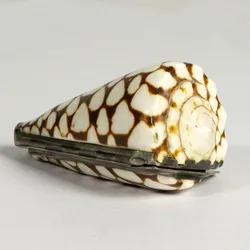 Shell Snuffbox