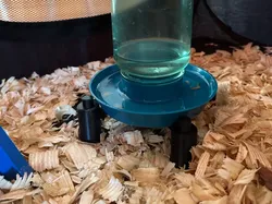 Waterer/Food Stackable Riser  - Free 3D Print Model