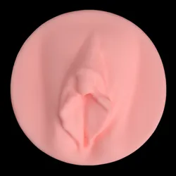 3D Realistic Pussy Art (82) Wall Art - No Supports