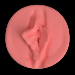 3D Realistic Pussy Art (83) Wall Art - No Supports