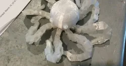 Articulated Cartoon Octopus