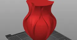 Curvy Vase