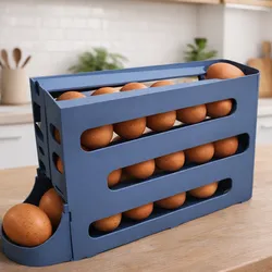 egg storage and dispenser