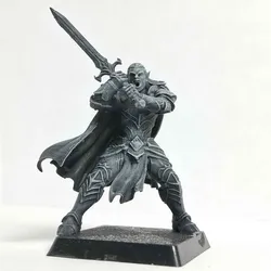 Elf Paladin RPG character