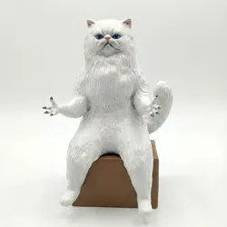 Funny Grumpy Cat in a Box