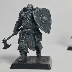 Norseman viking raider with raised shield RPG character