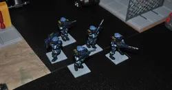 Public Defence Force