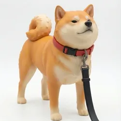 Shiba Inu with Leash