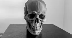 Skull Version 1.1