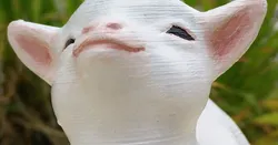 Smug goat