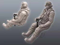 Spitfire Pilot
