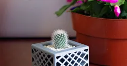 Star Spectrum Planter