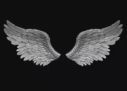 Wings Printable 5