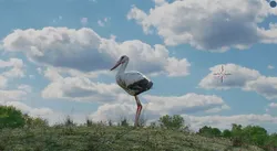Crane on grass with animation Low-poly 3D model