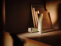 Evening Shelves rr 3D model