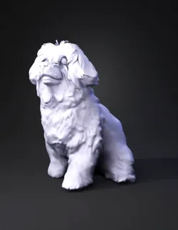 fluffy white puppy sitting on wicker chair