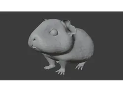 Guinea pig