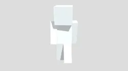 Mc Skin