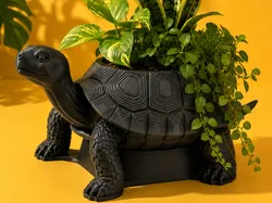 Other STL indir - Turtle Planter  3D Printable Animal Plant Pot and Home Decor - TARIK EL HAMDI