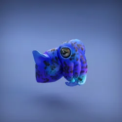 Bobtail Squid