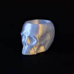 Grim Skull Vase