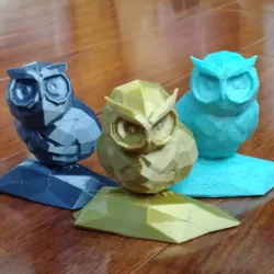 Owl