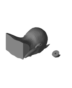 Rhino Horns