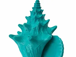 Shell - Free 3D Print Model