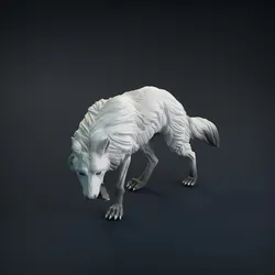 Wolf