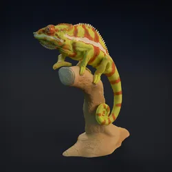 Chameleon