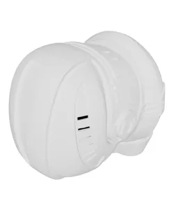 Echo's Helmet - The Bad Batch