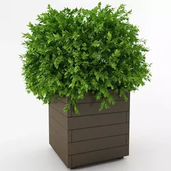 Planter Box 3D model