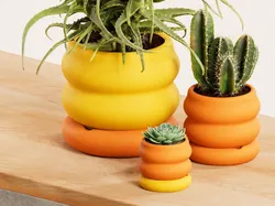 Bumpy Planter & Tray - Free 3D Print Model