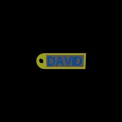 DAVID Keychain