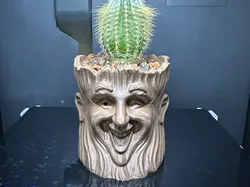 Funny Face Planter- Smilling Head Pot for Plant - Free 3D Print Model
