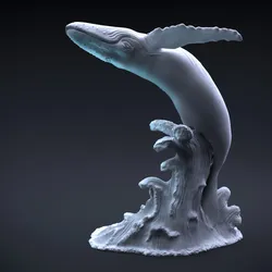 Humpback whale jumping