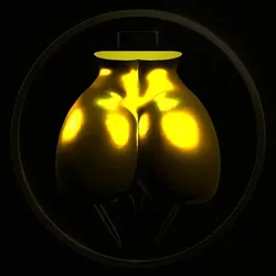 Le Luxe Booty