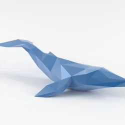 Whale Triangular