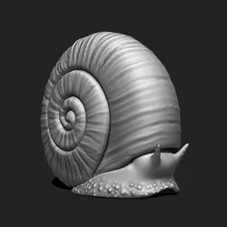 3D Snail 1 for Printing 3D print model