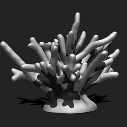 Coral 10 for 3D Printing - STL 3D Print - Aquarium - Home Decor
