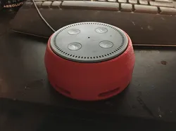 Echo Dot Wall Mount