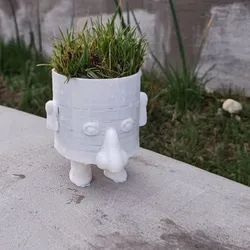 funny face flower pot