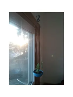 Hanging bowl flowerpot